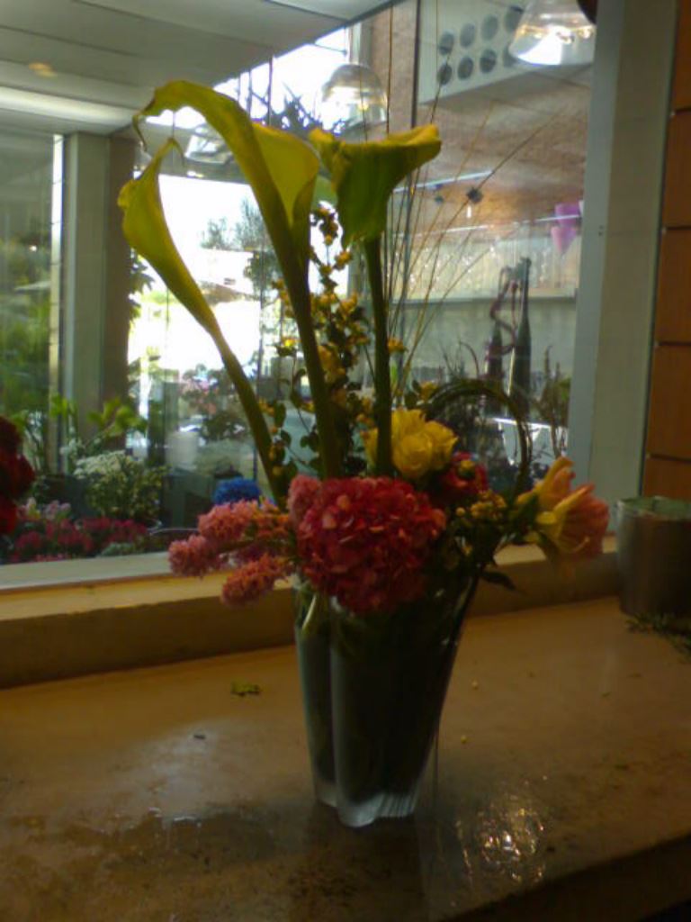 Flowers (79)